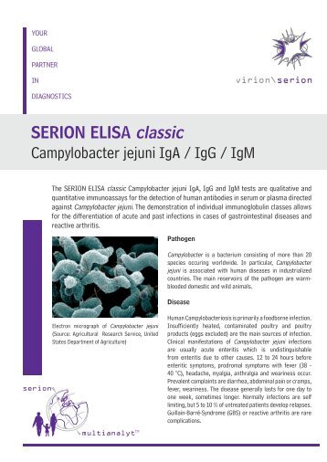 SERION ELISA classic Campylobacter jejuni IgA / IgG ... - virion\serion