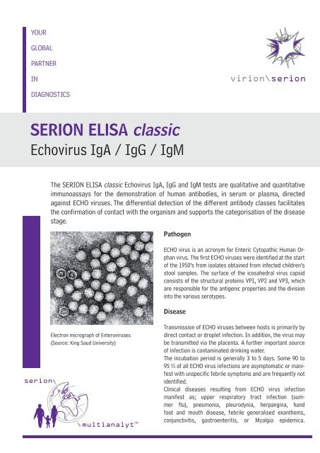 SERION ELISA classic Echovirus IgA / IgG / IgM - virion\serion