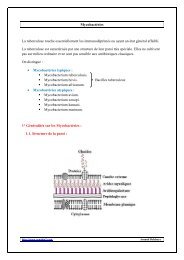 Mycobactéries La tuberculose touche essentiellement les ... - Arnobio2