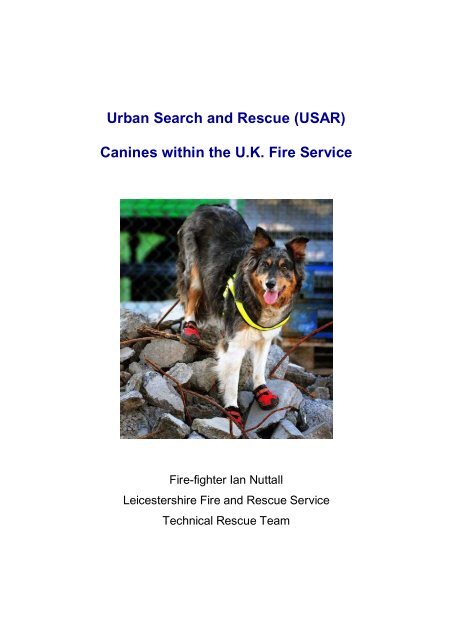 are search and rescue dogs service dogs