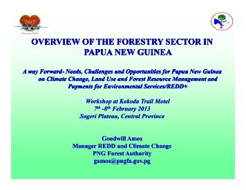 OVERVIEW OF THE FORESTRY SECTOR IN PAPUA NEW GUINEA ...