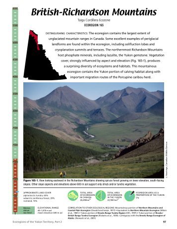 British–Richardson Mountains • ECOREGION