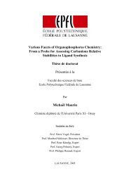 My PhD dissertation - Institut Fresnel