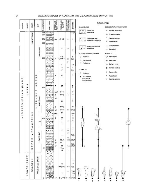 Geologic Studies in Alaska by the U.S. Geological Survey, 1992