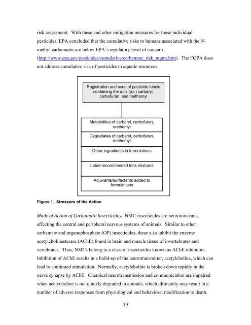 Carbaryl, Carbofuran, and Methomyl - National Marine Fisheries ...