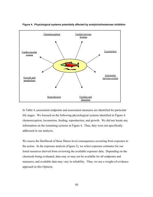 Carbaryl, Carbofuran, and Methomyl - National Marine Fisheries ...