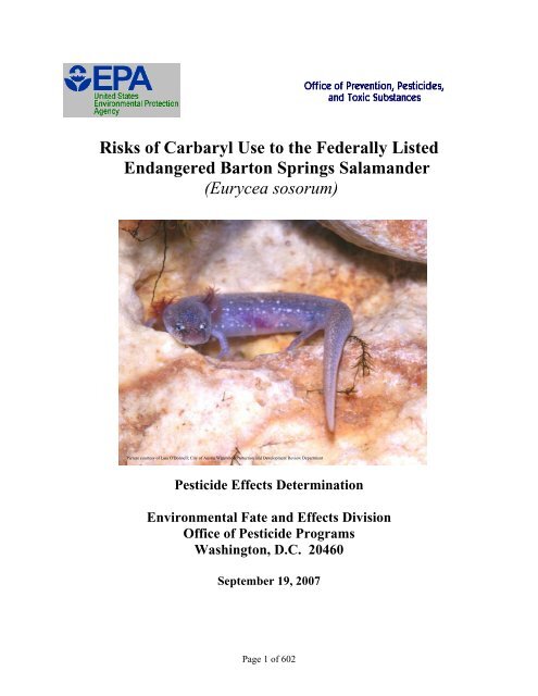 Barton Springs Salamander Carbaryl Esa Assessment Us