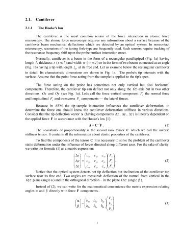 2.1. Cantilever – SPM - NT-MDT