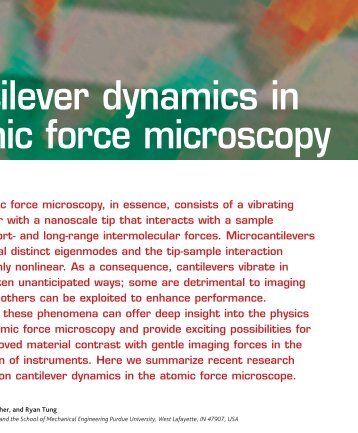Cantilever dynamics in atomic force microscopy