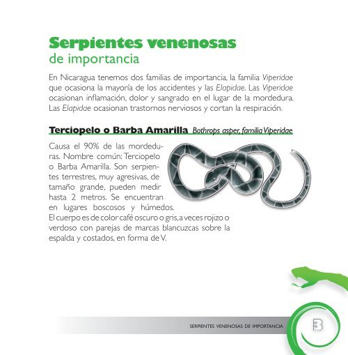 Serpientes venenosas de importancia (PDF, 6 Páginas, 244 - BVSDE