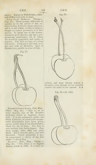 A dictionary of modern gardening - University Library