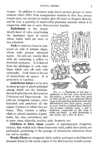 Pharmaceutical botany - Lighthouse Survival Blog