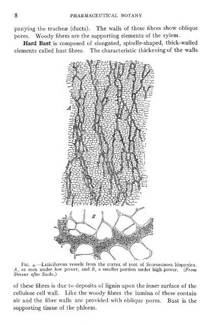 Pharmaceutical botany - Lighthouse Survival Blog