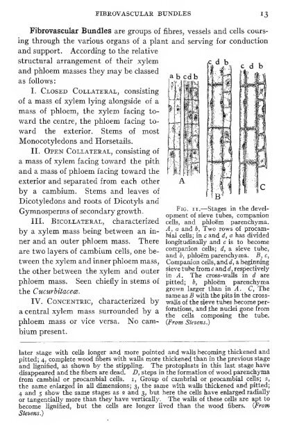 Pharmaceutical botany - Lighthouse Survival Blog