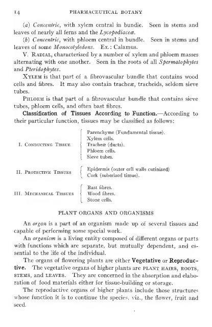 Pharmaceutical botany - Lighthouse Survival Blog