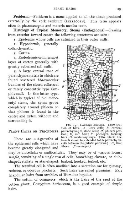 Pharmaceutical botany - Lighthouse Survival Blog