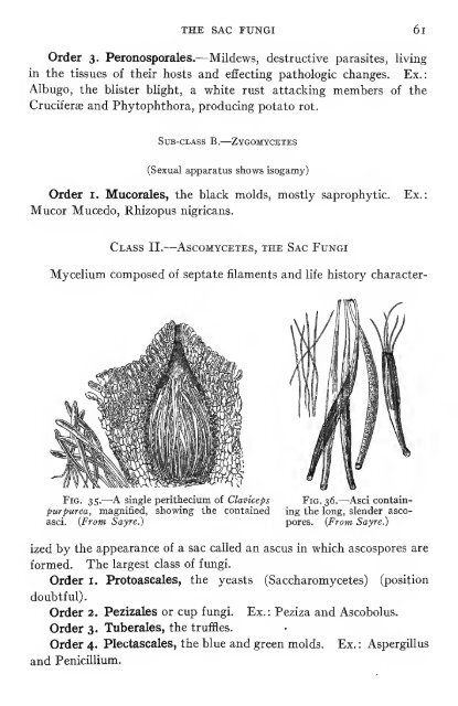 Pharmaceutical botany - Lighthouse Survival Blog