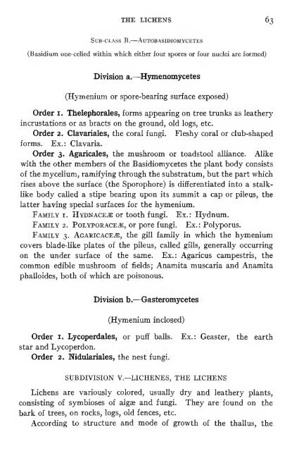 Pharmaceutical botany - Lighthouse Survival Blog