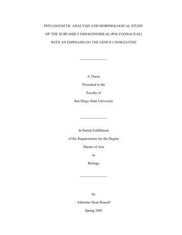 phylogenetic analysis and morphological study of the subfamily