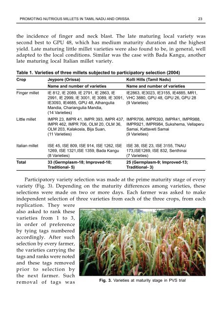 Minor millets in South Asia: learnings from IFAD-NUS project in India ...