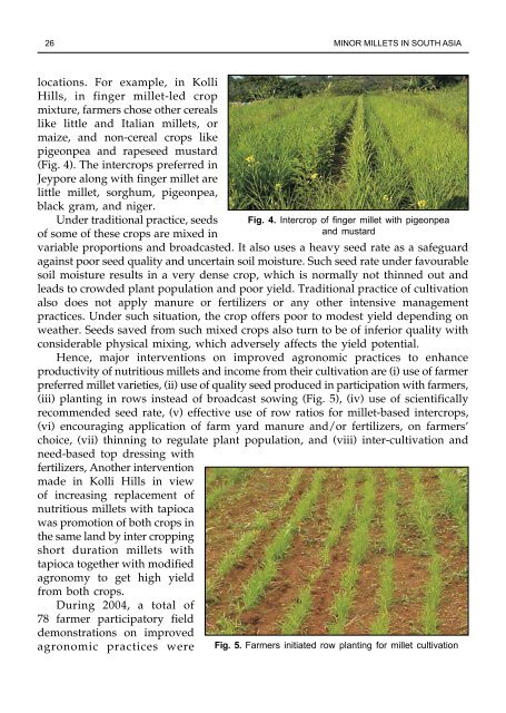 Minor millets in South Asia: learnings from IFAD-NUS project in India ...