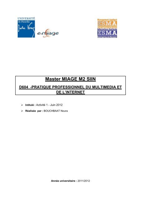 Master MIAGE M2 SIIN D604 -PRATIQUE PROFESSIONNEL DU ...