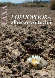 alberto-vojtechii - Lophophora.info