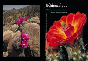 Echinocereus Special Issue - Cacti Guide