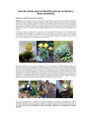 Guía de Campo para la identificación de cactáceas y otras ... - CFE