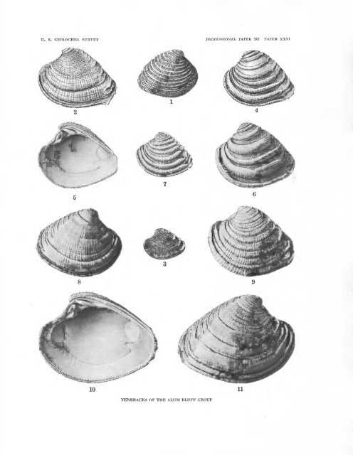 the molluscan fauna of the alum bluff group of florida