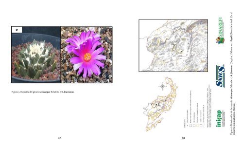 Abrir - Biblioteca Digital INIFAP - Instituto Nacional de ...