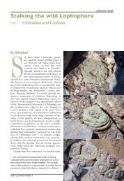 Stalking the wild Lophophora_english-part 1.pdf - Lophophora.info