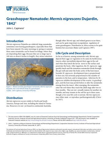 Grasshopper Nematode: Mermis nigrescens Dujardin, 18421 - EDIS ...