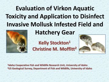 Evaluation of Virkon Aquatic Toxicity and Application to Disinfect ...