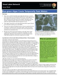 Blue-green Algae Create Temporarily Toxic Waters - NPS Inventory ...