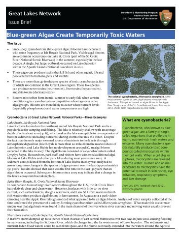 Blue-green Algae Create Temporarily Toxic Waters - NPS Inventory ...