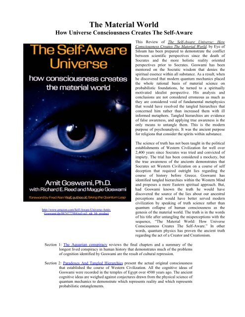 The Self-Aware Universe: How Consciousness Creates the Material