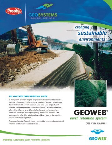 Geoweb Earth Retention System Case