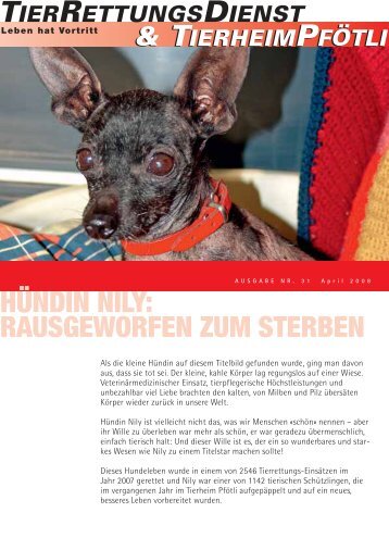 TRD-News Nr. 31 - Stiftung Tierrettungsdienst - Leben hat Vortritt!