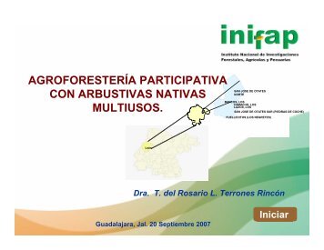 agroforestería participativa con arbustivas nativas multiusos.