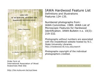 IAWA Hardwood Feature List - Inside Wood