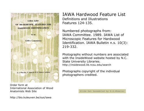IAWA Hardwood Feature List - Inside Wood