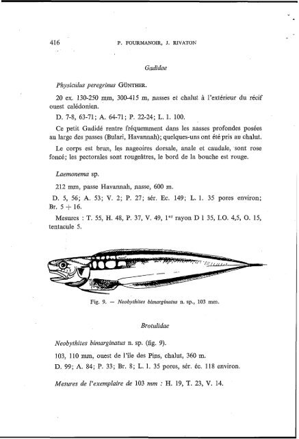 Poissons de la pente récifale externe de Nouvelle-Calédonie ... - IRD