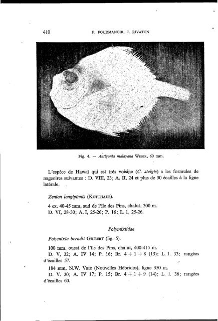 Poissons de la pente récifale externe de Nouvelle-Calédonie ... - IRD