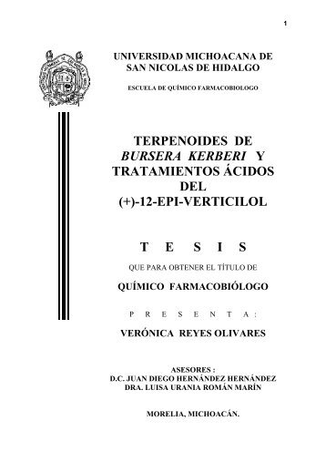 TERPENOIDES DE BURSERA KERBERI Y TRATAMIENTOS ACIDOS