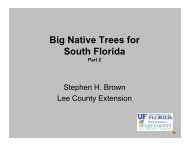 Big Native Trees for South Florida - Lee County Extension