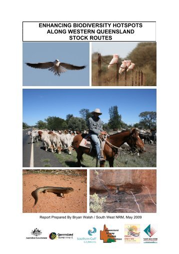 Enhancing Biodiversity Hotspots Along Western Queensland Stock ...