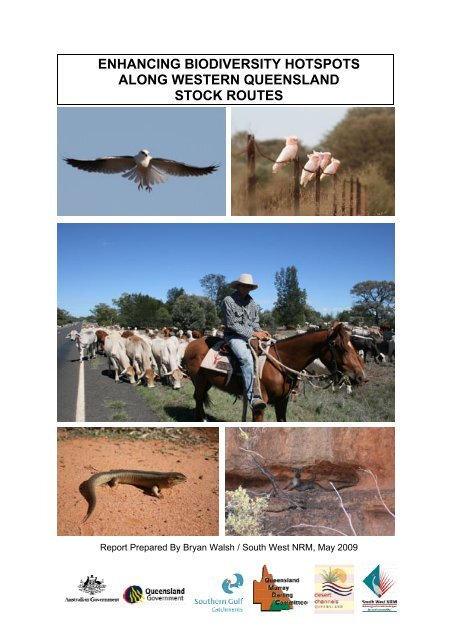 Enhancing Biodiversity Hotspots Along Western Queensland Stock ...