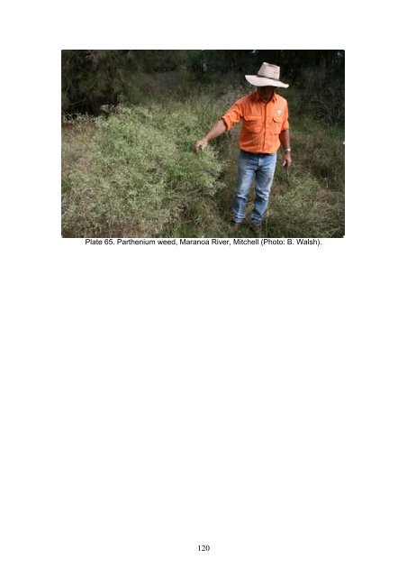 Enhancing Biodiversity Hotspots Along Western Queensland Stock ...