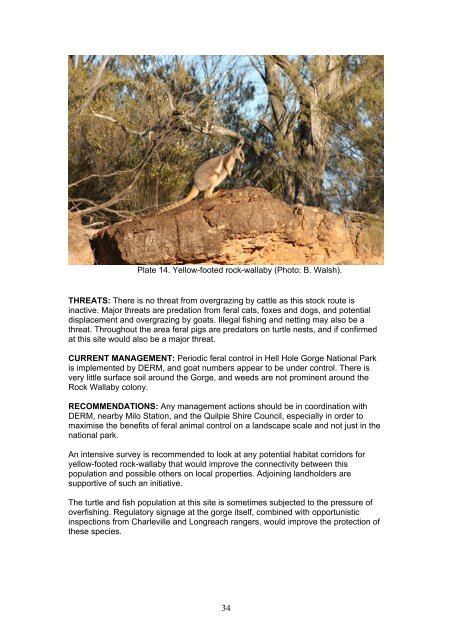 Enhancing Biodiversity Hotspots Along Western Queensland Stock ...